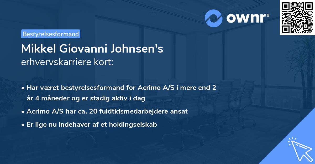 Mikkel Giovanni Johnsen's erhvervskarriere kort