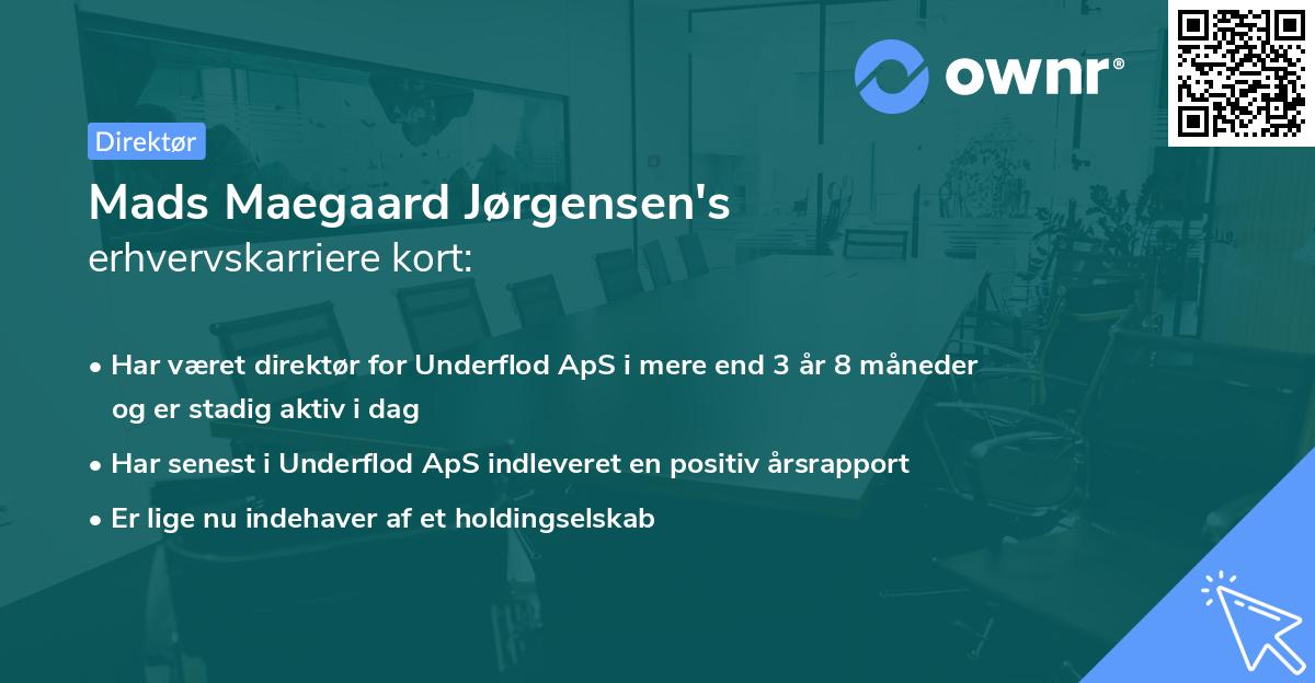 Mads Maegaard Jørgensen's erhvervskarriere kort