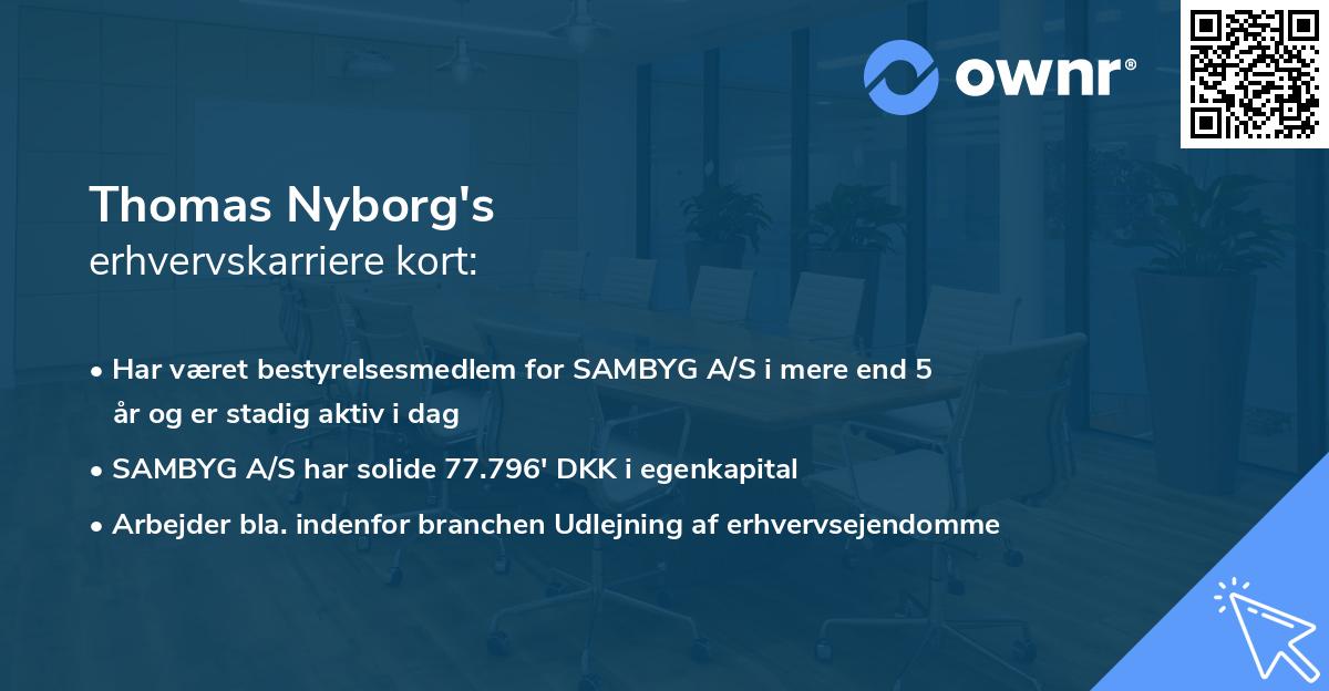 Thomas Nyborg's erhvervskarriere kort