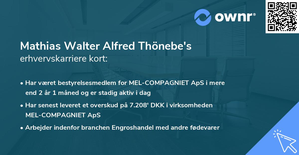 Mathias Walter Alfred Thönebe's erhvervskarriere kort