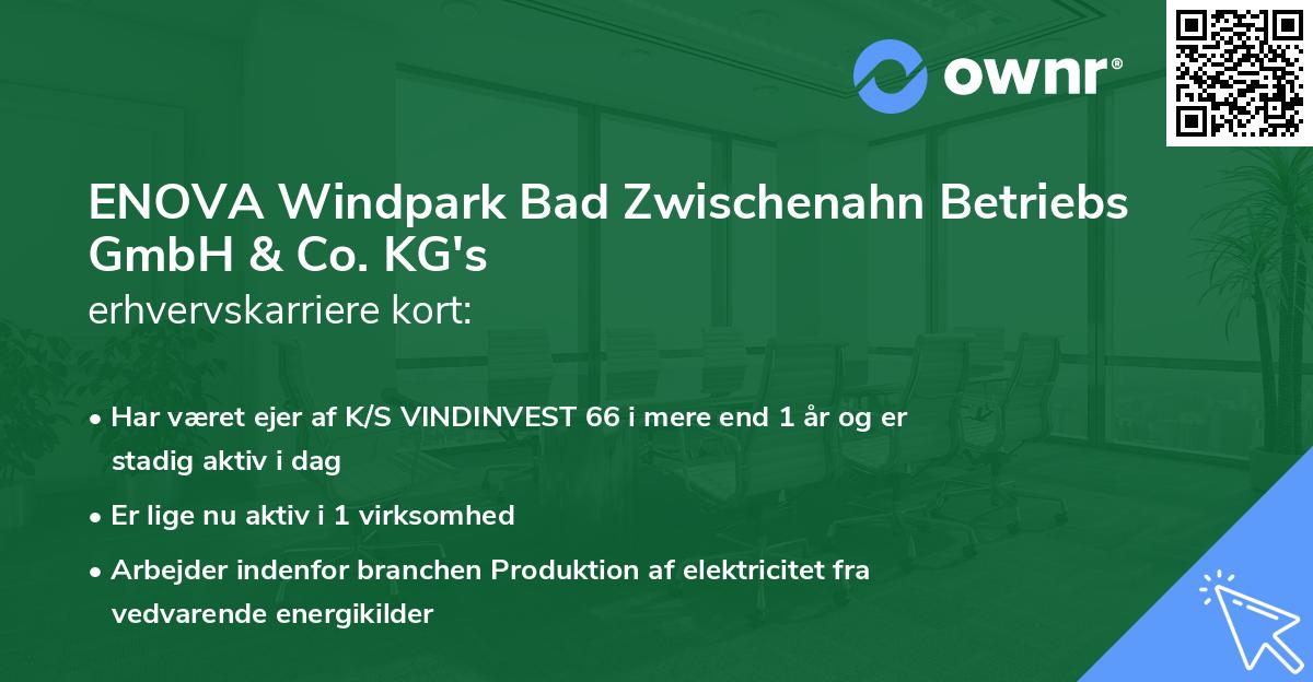 ENOVA Windpark Bad Zwischenahn Betriebs GmbH & Co. KG's erhvervskarriere kort