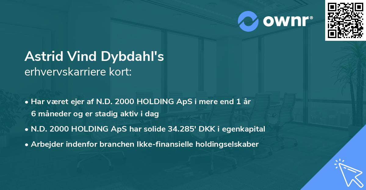 Astrid Vind Dybdahl's erhvervskarriere kort