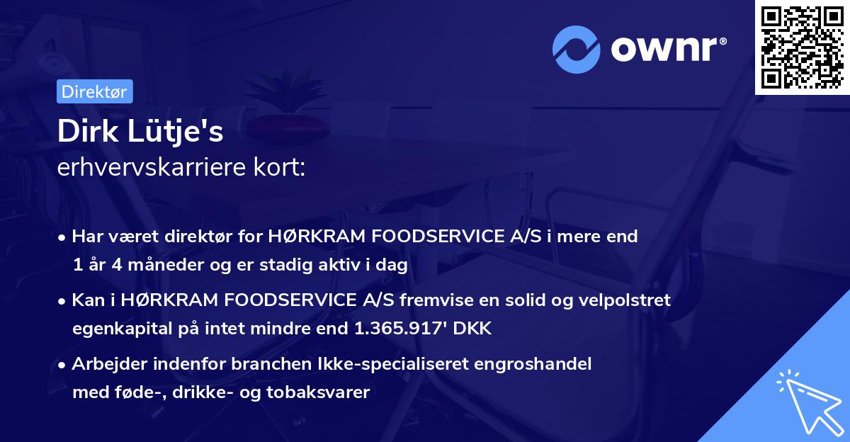 Dirk Lütje's erhvervskarriere kort