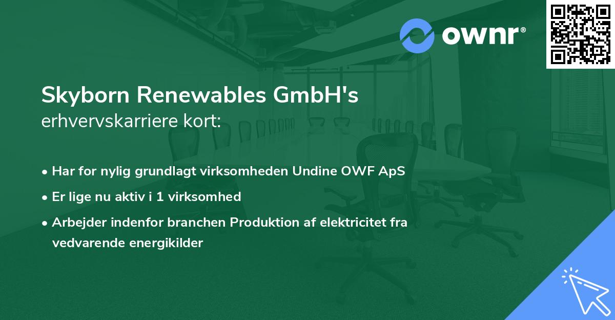 Skyborn Renewables GmbH's erhvervskarriere kort