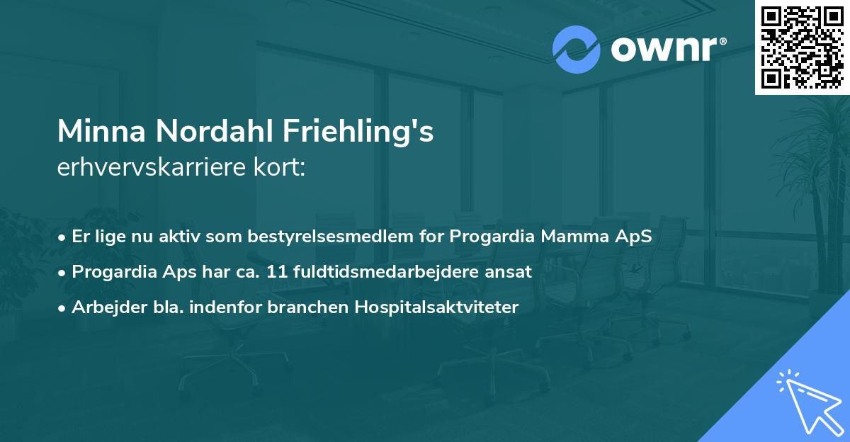 Minna Nordahl Friehling's erhvervskarriere kort