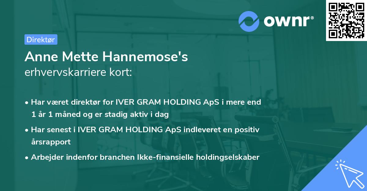 Anne Mette Hannemose's erhvervskarriere kort