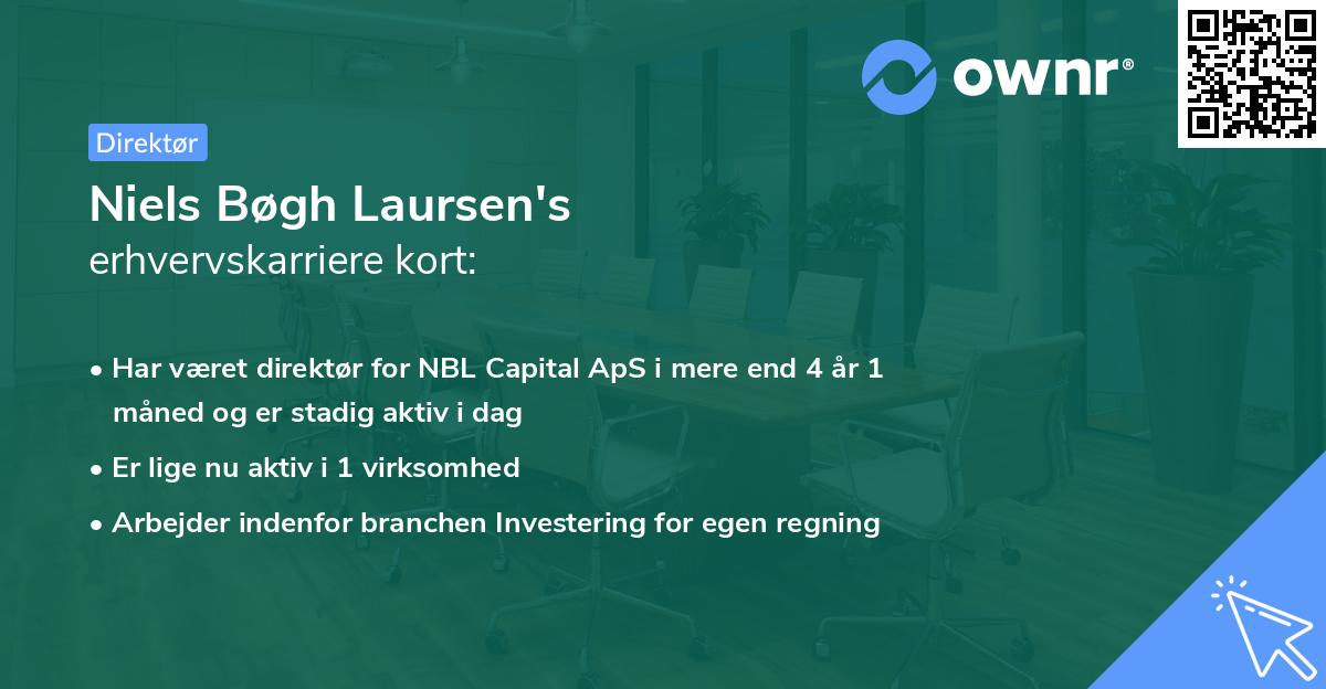 Niels Bøgh Laursen's erhvervskarriere kort