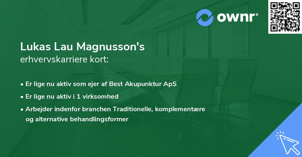 Lukas Lau Magnusson's erhvervskarriere kort