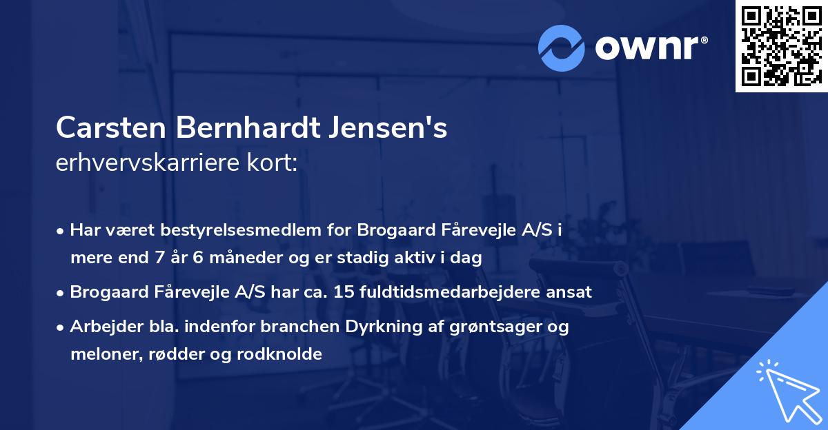 Carsten Bernhardt Jensen's erhvervskarriere kort