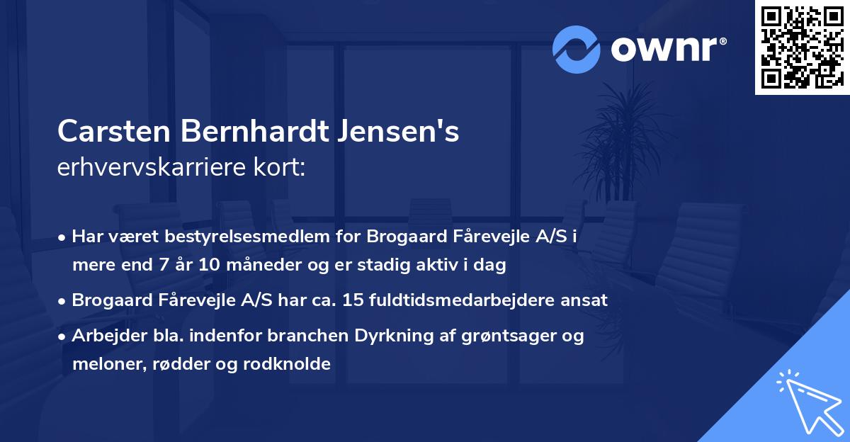 Carsten Bernhardt Jensen's erhvervskarriere kort