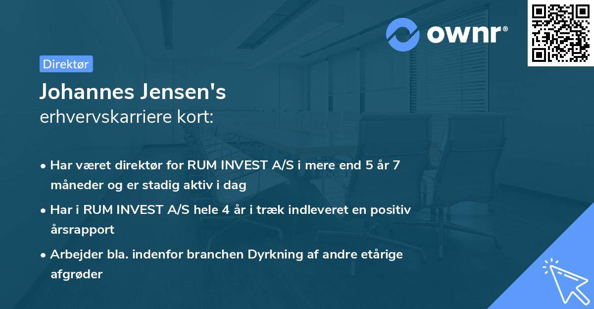 Johannes Jensen's erhvervskarriere kort