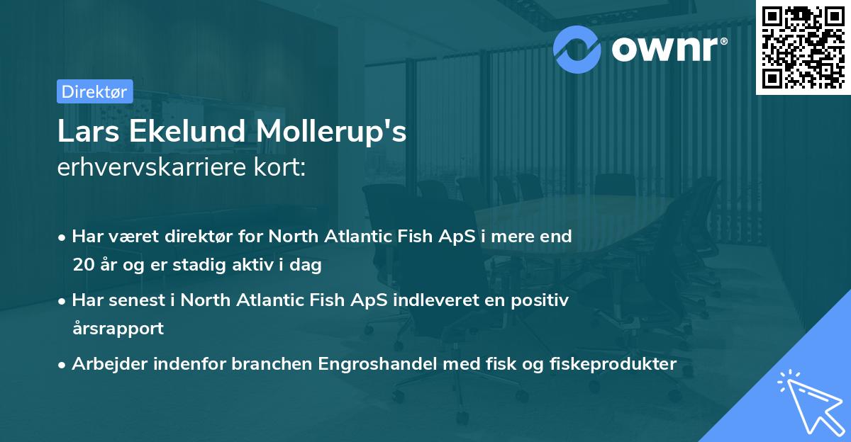 Lars Ekelund Mollerup's erhvervskarriere kort