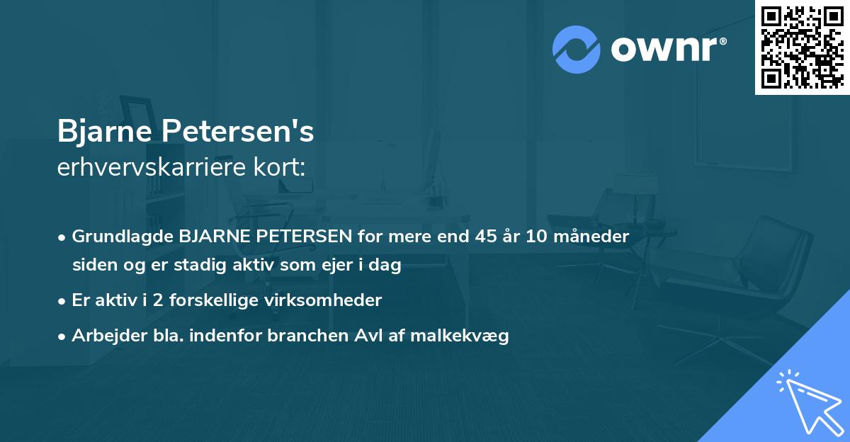 Bjarne Petersen's erhvervskarriere kort