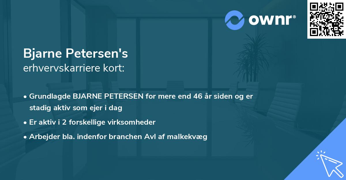 Bjarne Petersen's erhvervskarriere kort