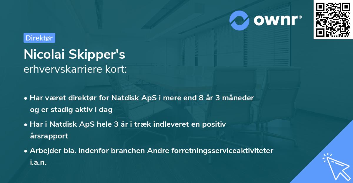 Nicolai Skipper's erhvervskarriere kort