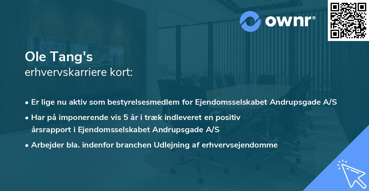 Ole Tang's erhvervskarriere kort