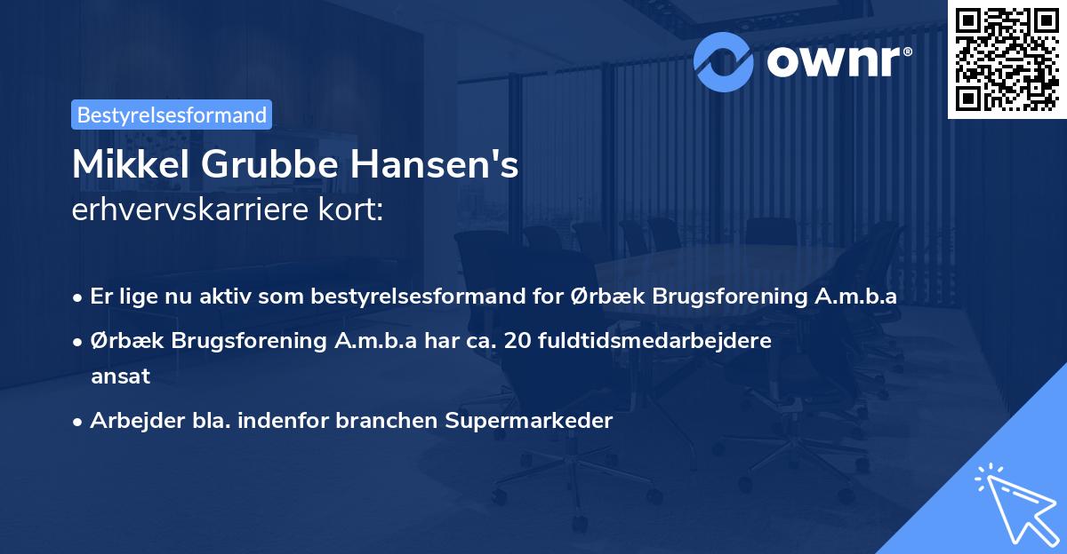 Mikkel Grubbe Hansen's erhvervskarriere kort