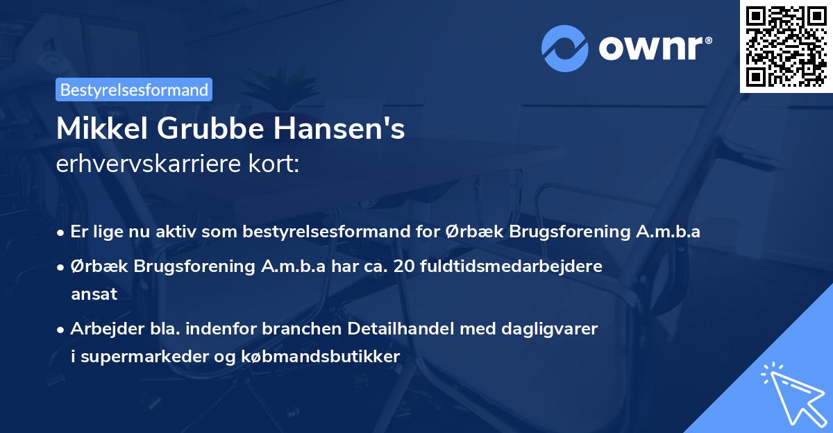 Mikkel Grubbe Hansen's erhvervskarriere kort