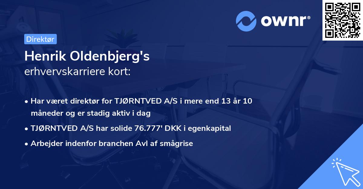 Henrik Oldenbjerg's erhvervskarriere kort