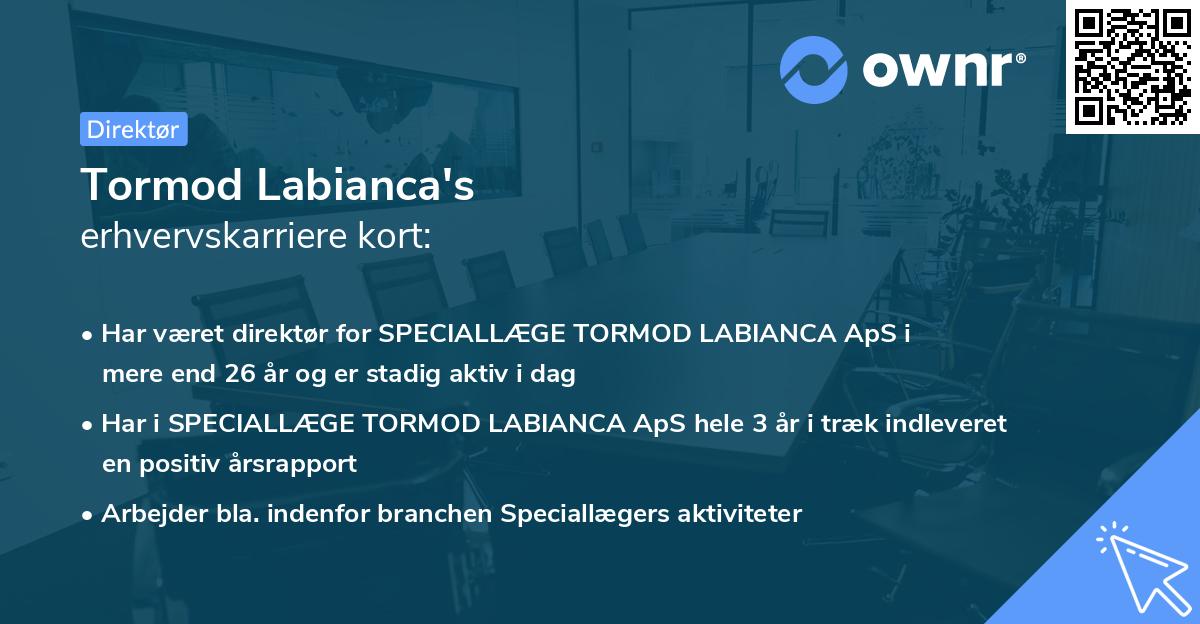 Tormod Labianca's erhvervskarriere kort