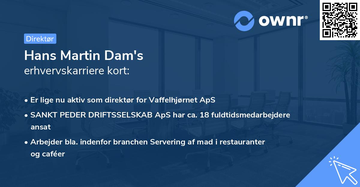 Hans Martin Dam's erhvervskarriere kort