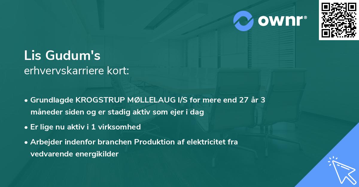 Lis Gudum's erhvervskarriere kort