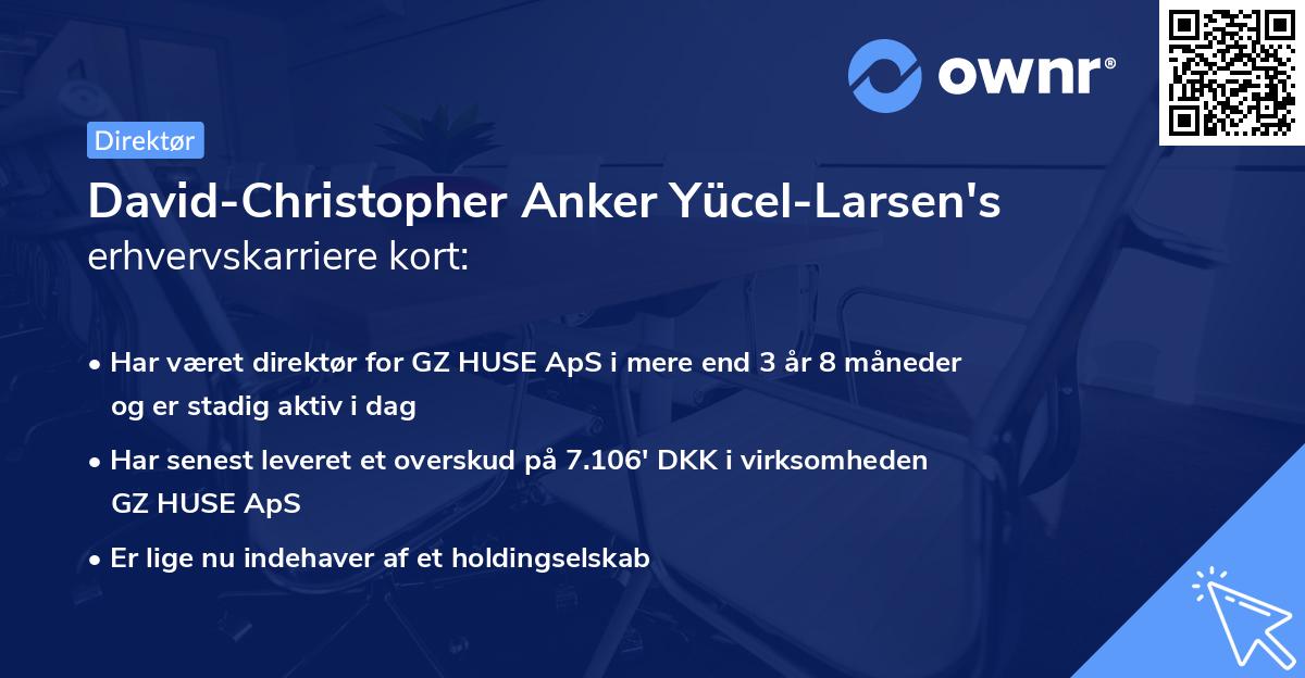 David-Christopher Anker Yücel-Larsen's erhvervskarriere kort