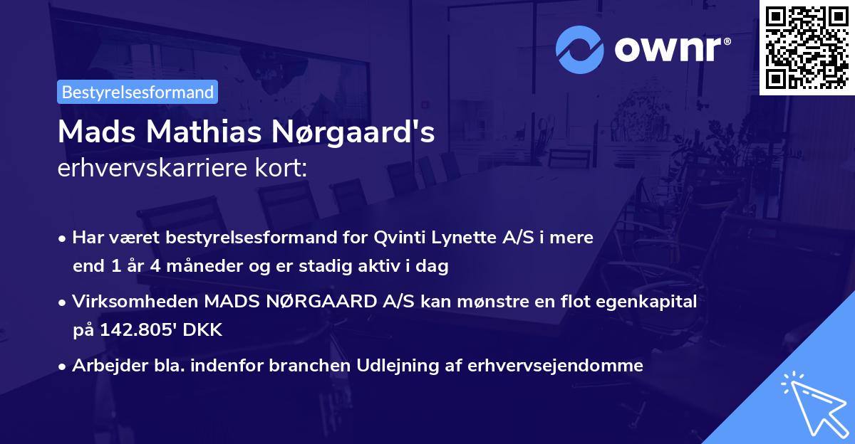 Mads Mathias Nørgaard's erhvervskarriere kort