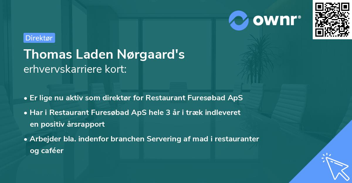 Thomas Laden Nørgaard's erhvervskarriere kort