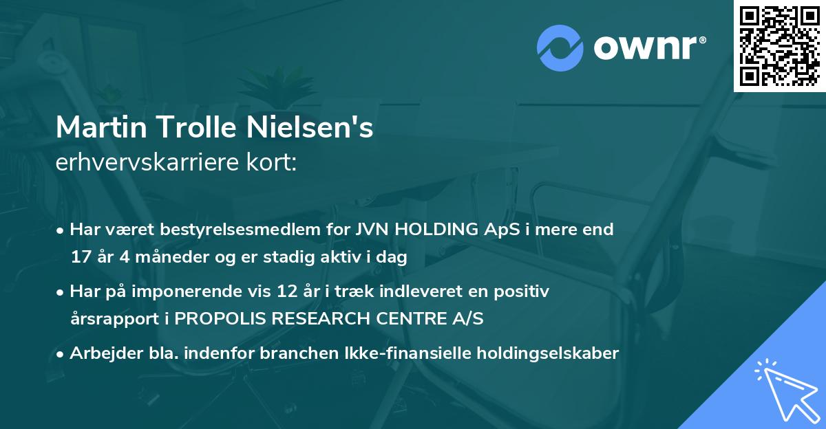 Martin Trolle Nielsen's erhvervskarriere kort