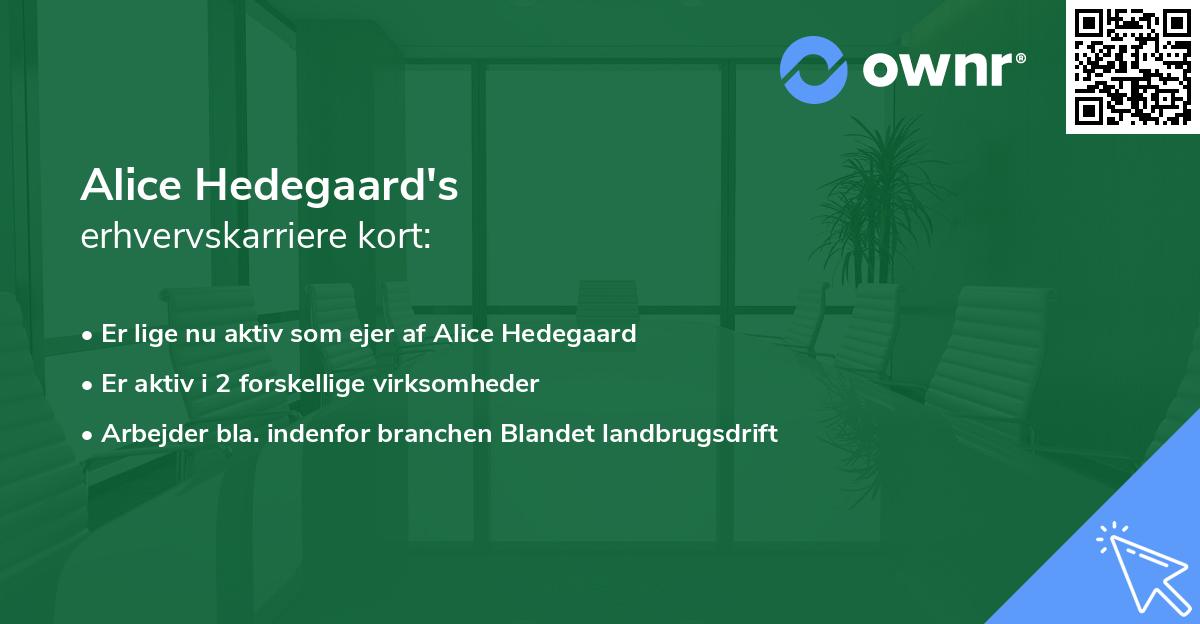 Alice Hedegaard's erhvervskarriere kort