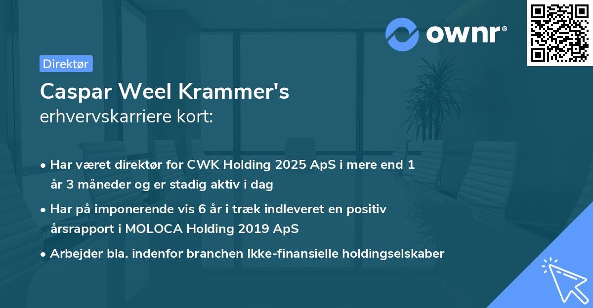 Caspar Weel Krammer's erhvervskarriere kort