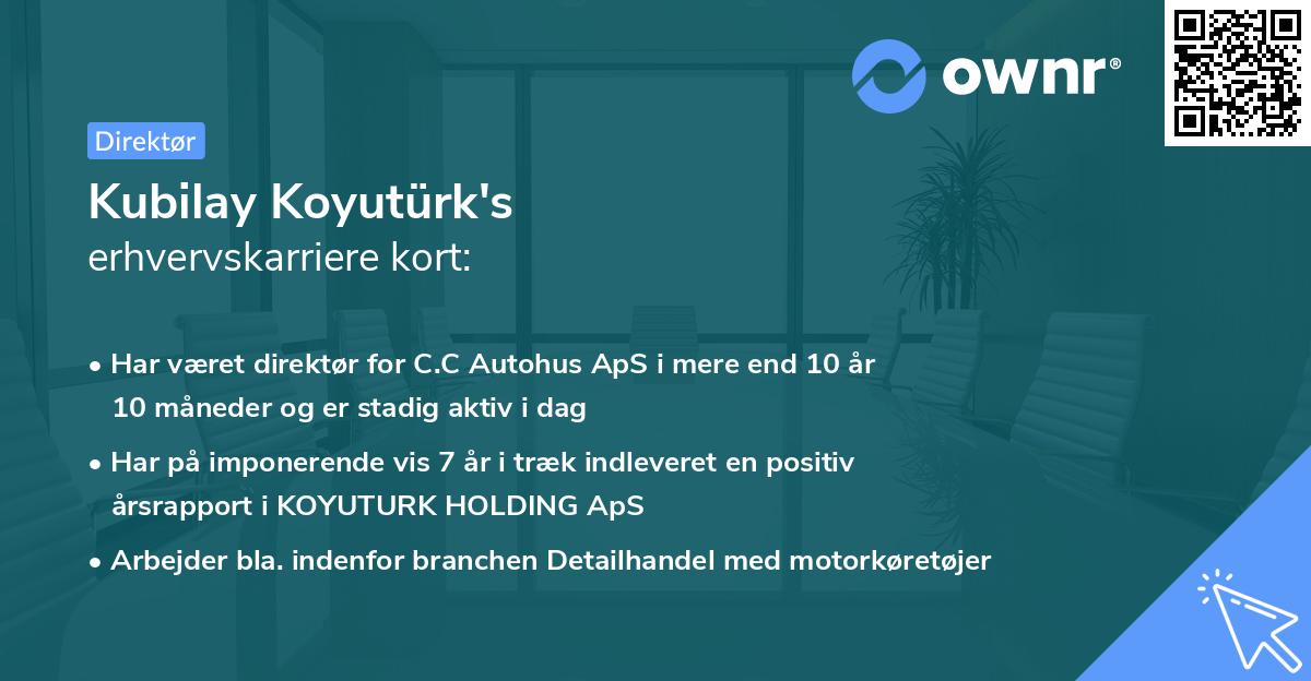 Kubilay Koyutürk's erhvervskarriere kort