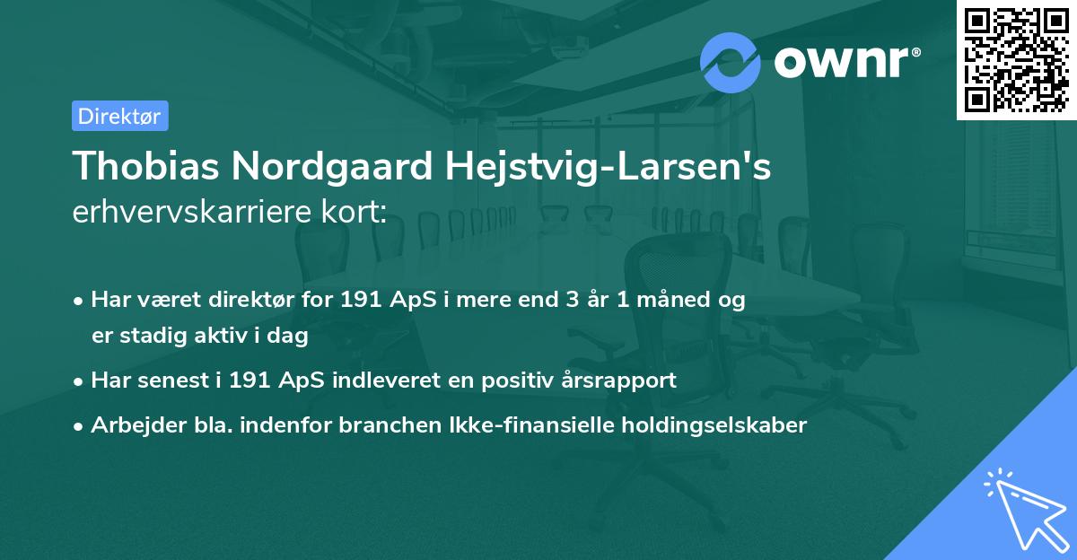 Thobias Nordgaard Hejstvig-Larsen's erhvervskarriere kort