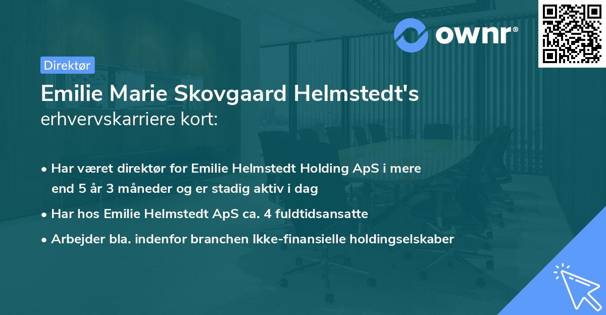 Emilie Marie Skovgaard Helmstedt's erhvervskarriere kort