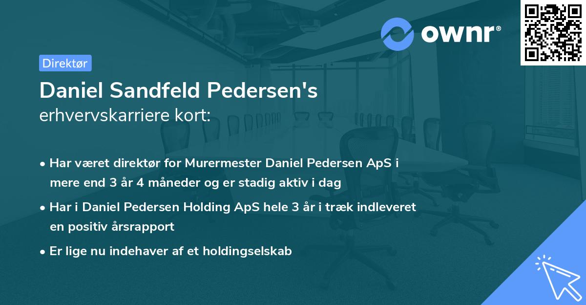 Daniel Sandfeld Pedersen's erhvervskarriere kort