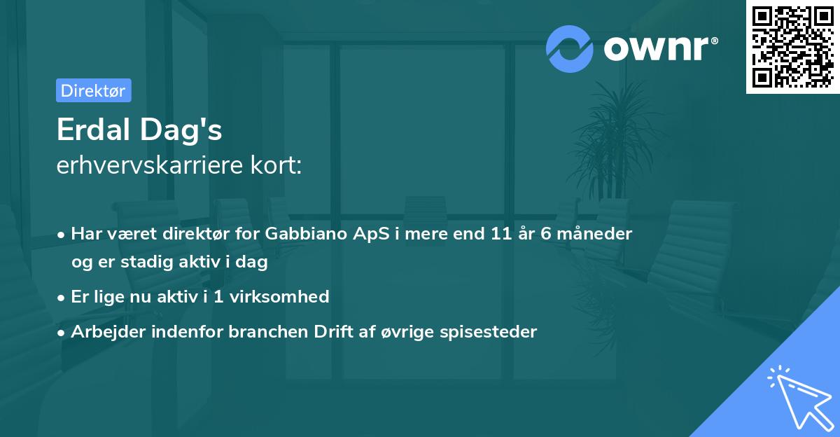 Erdal Dag's erhvervskarriere kort