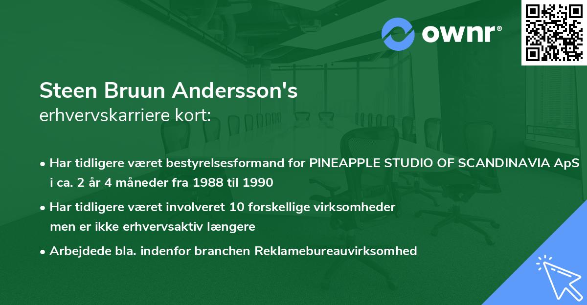 Steen Bruun Andersson's erhvervskarriere kort