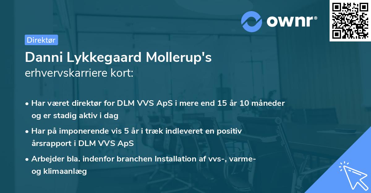 Danni Lykkegaard Mollerup's erhvervskarriere kort