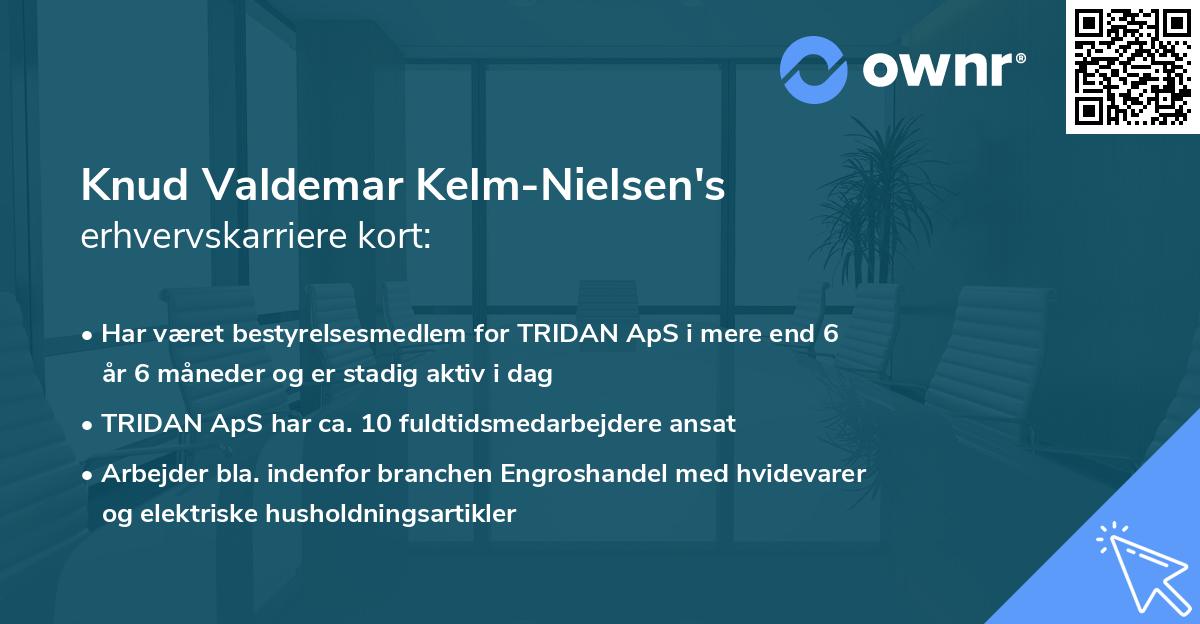 Knud Valdemar Kelm-Nielsen's erhvervskarriere kort
