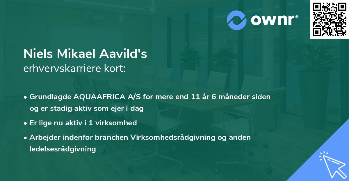 Niels Mikael Aavild's erhvervskarriere kort