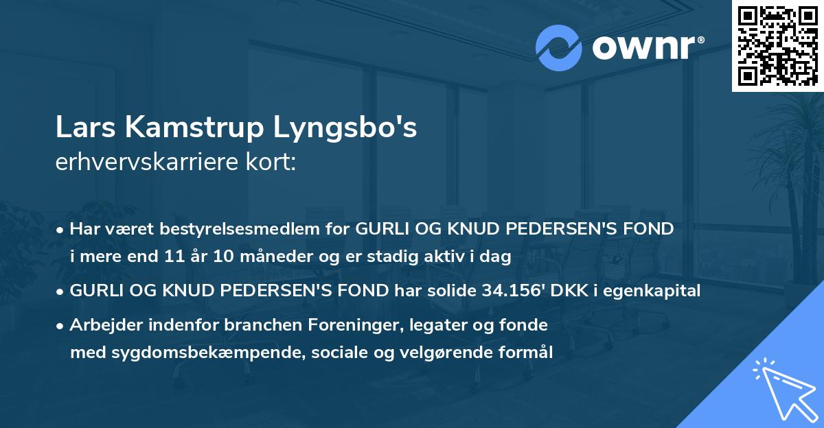 Lars Kamstrup Lyngsbo's erhvervskarriere kort