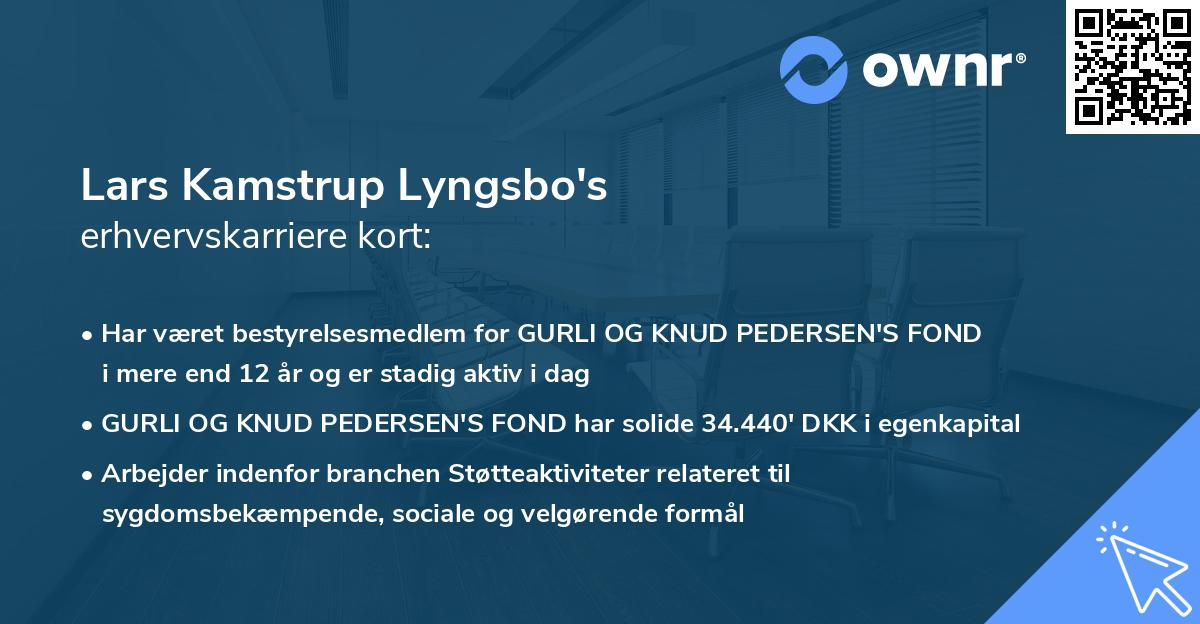 Lars Kamstrup Lyngsbo's erhvervskarriere kort