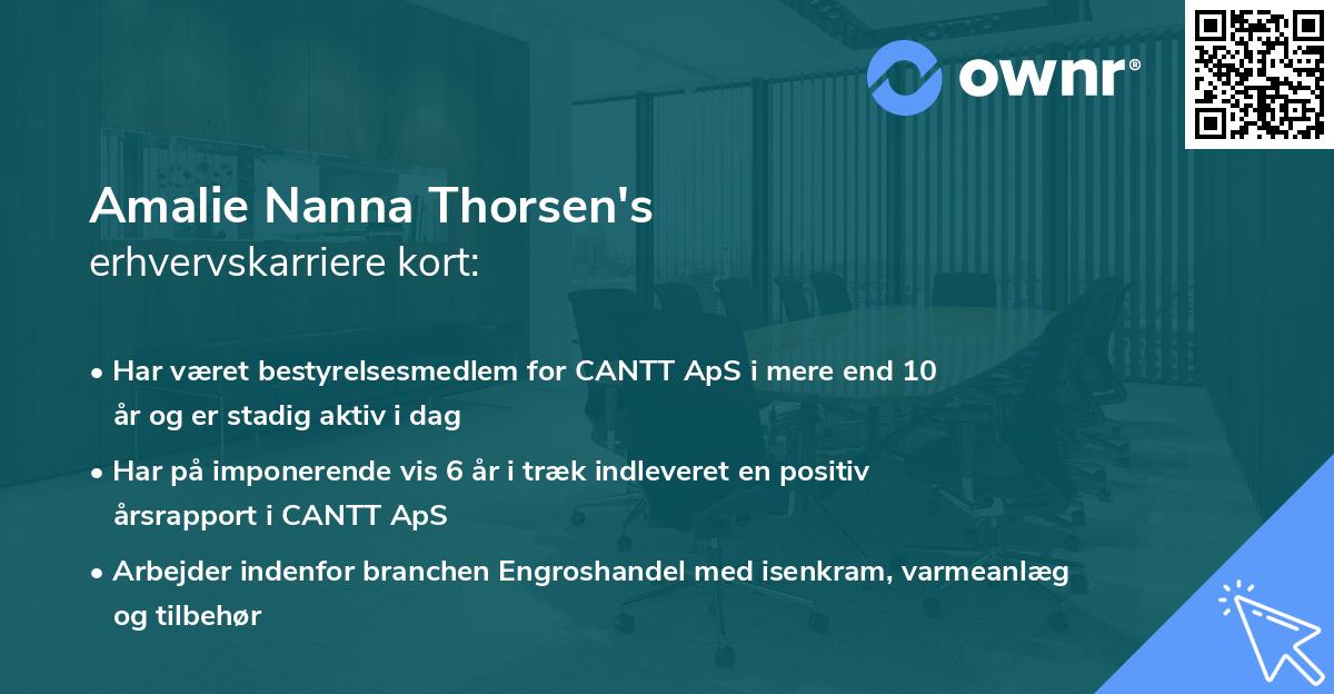 Amalie Nanna Thorsen's erhvervskarriere kort