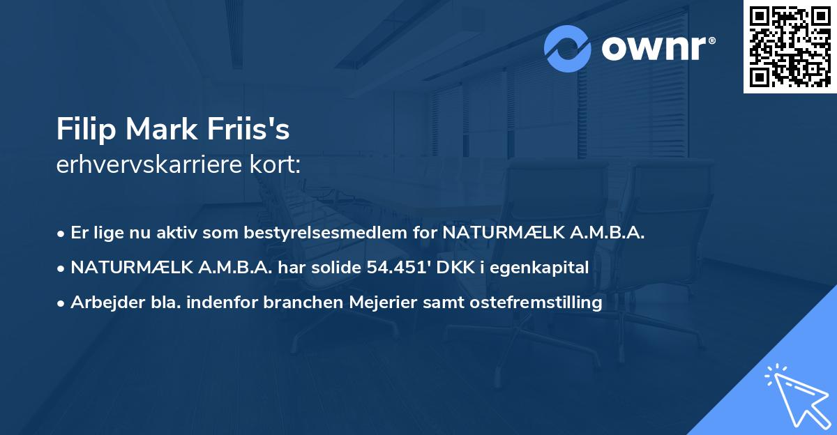 Filip Mark Friis's erhvervskarriere kort