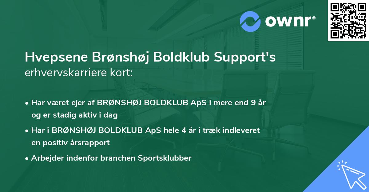 Hvepsene Brønshøj Boldklub Support's erhvervskarriere kort