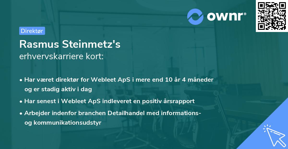 Rasmus Steinmetz's erhvervskarriere kort