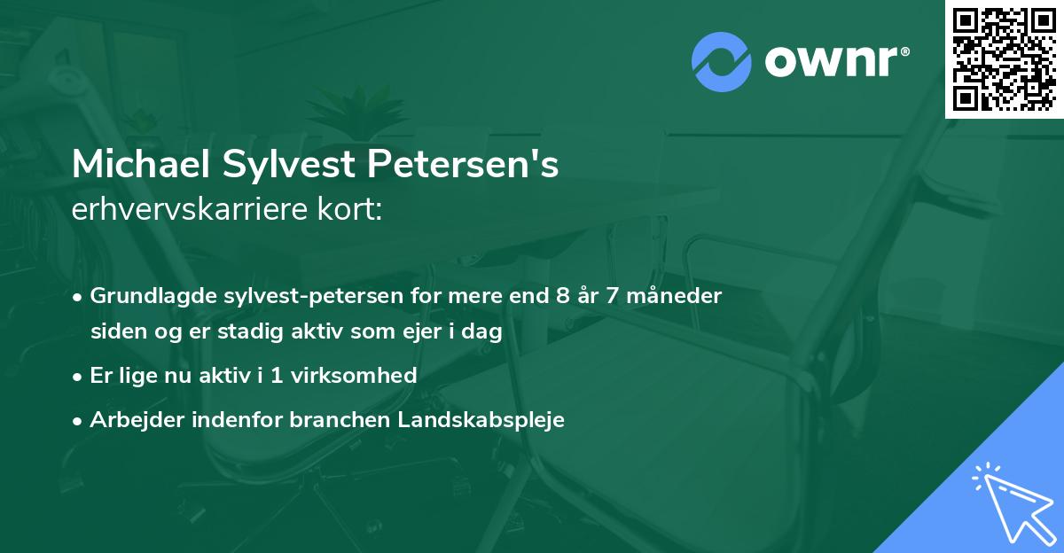 Michael Sylvest Petersen's erhvervskarriere kort