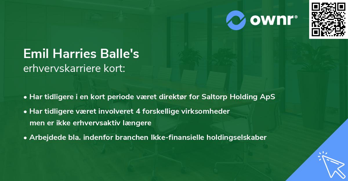 Emil Harries Balle's erhvervskarriere kort
