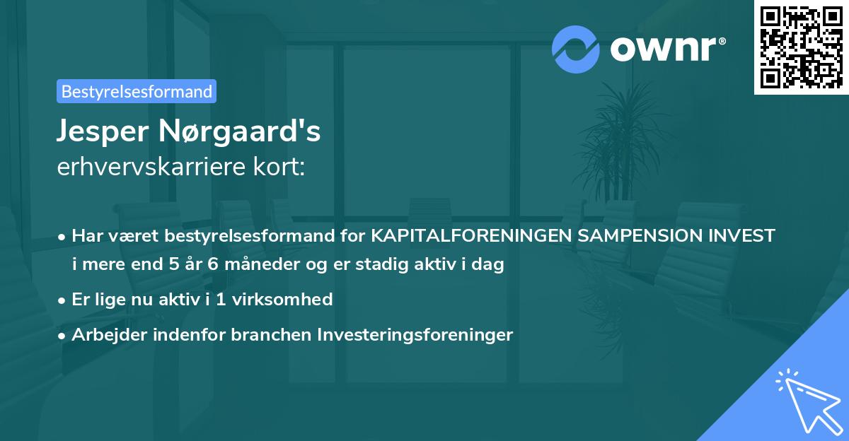 Jesper Nørgaard's erhvervskarriere kort